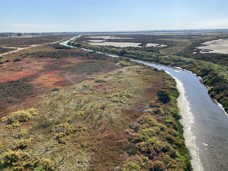 Point Cook Cheetham Wetlands View