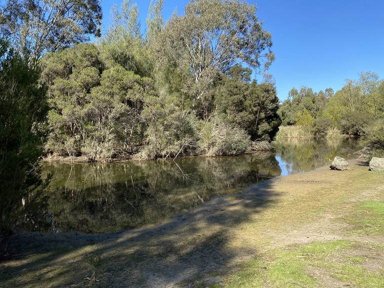 Yan Yean Lower Picnic Area Wetlands