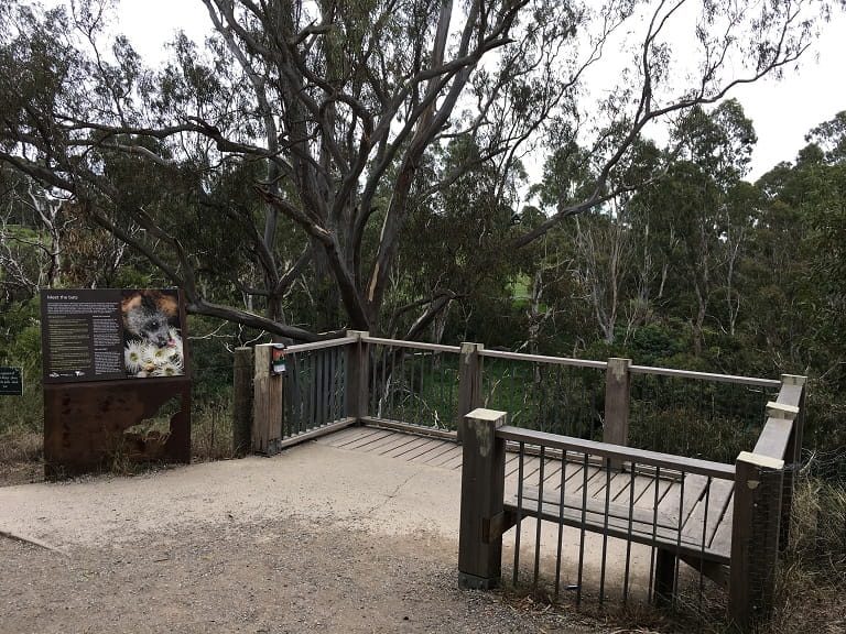 Yarra Bend Bell Picnic Area Bat Viewing Platform