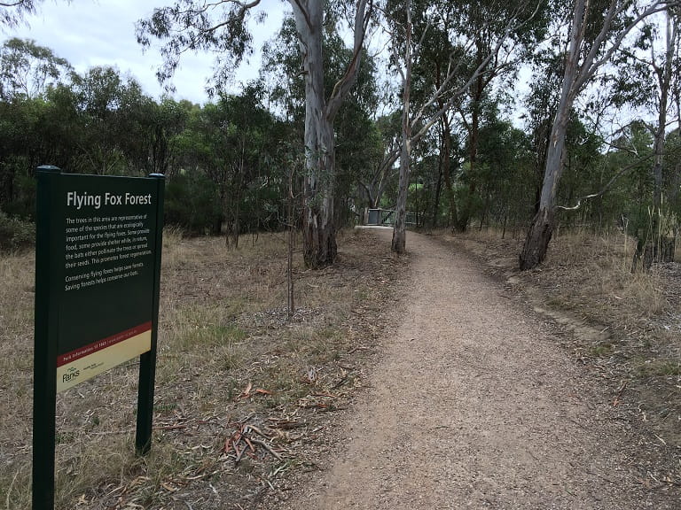 Yarra Bend Bell Picnic Area Carpark Access Path