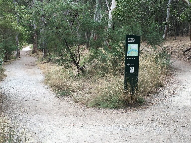 Yarra Bend Studley Park Bushland Circuit Trail