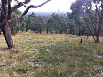 Waterfall Gully after mulching