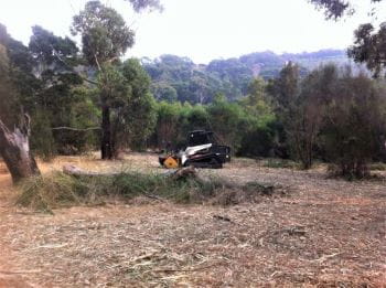 Waterfall Gully during mulching