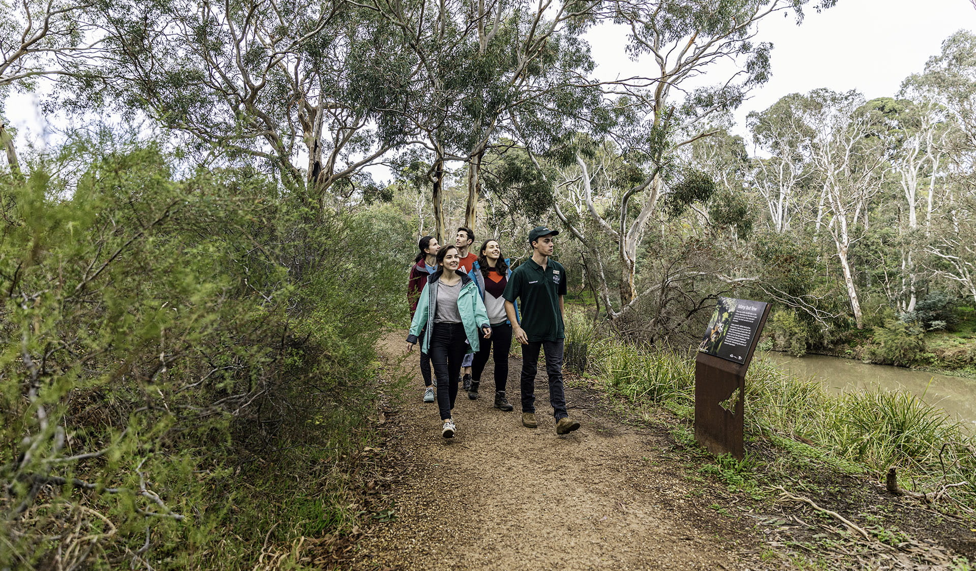 Guided nature walks hot sale