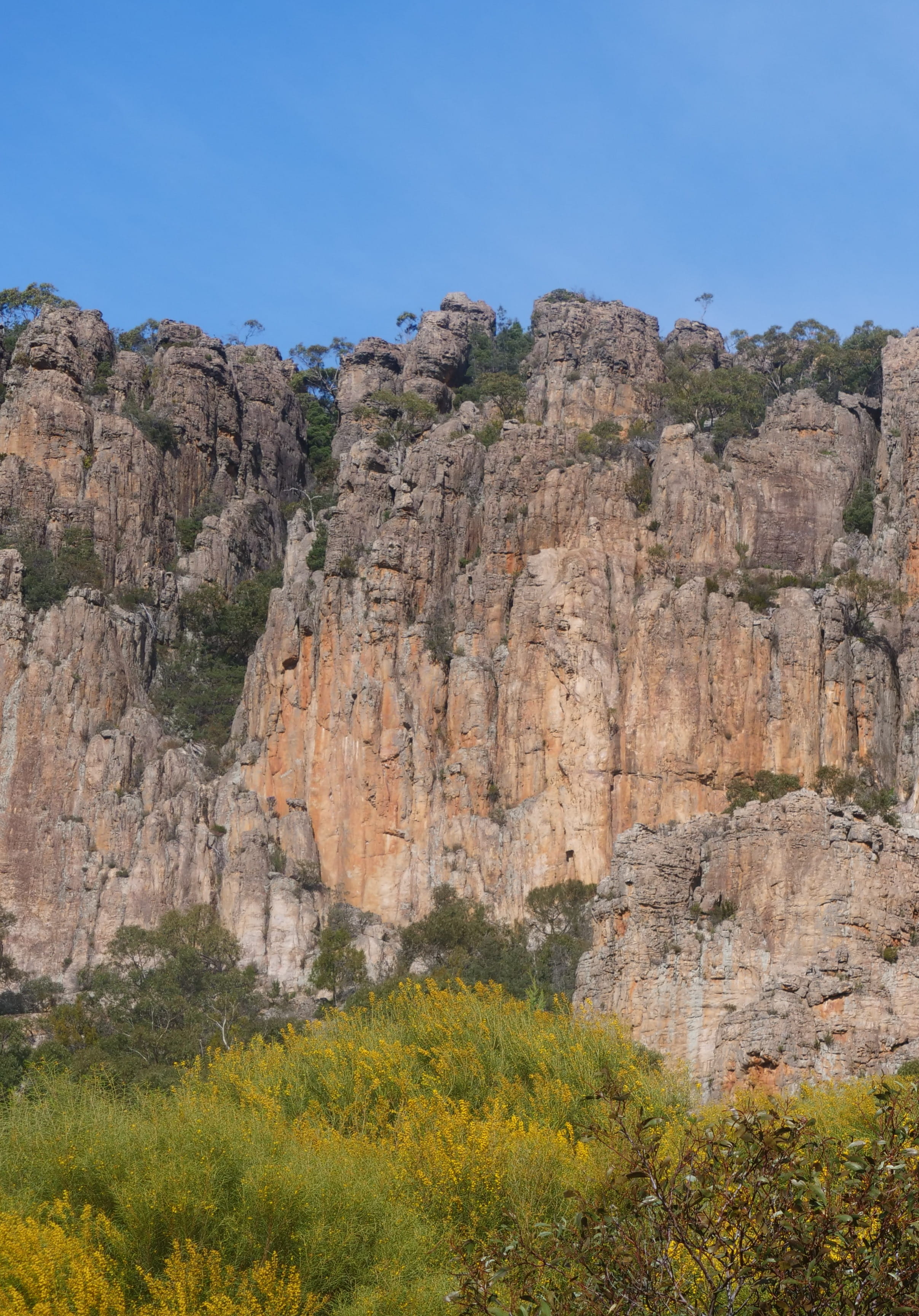 Large rock face, green vegetation along the bottom and blue sky at the top.