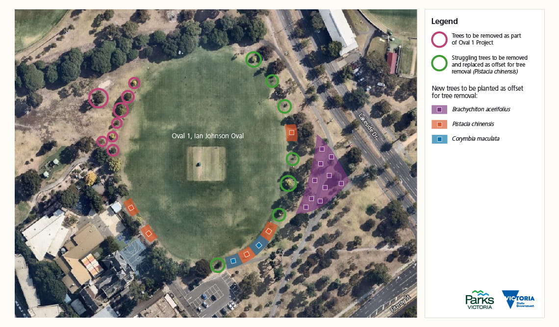 Map of trees to be replaced, removed or newly planted around Oval One in Albert Park. 