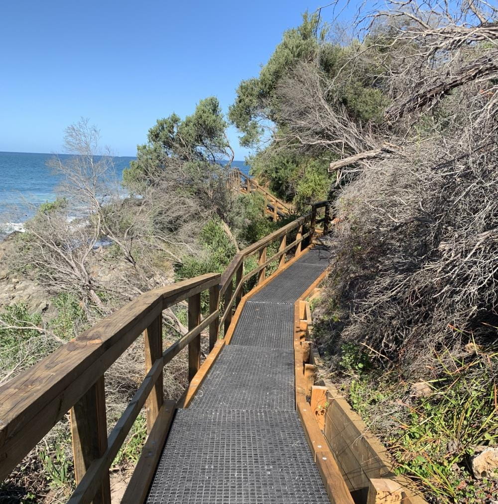 A boardwalk winds through coastal scrub with blue skies above. 