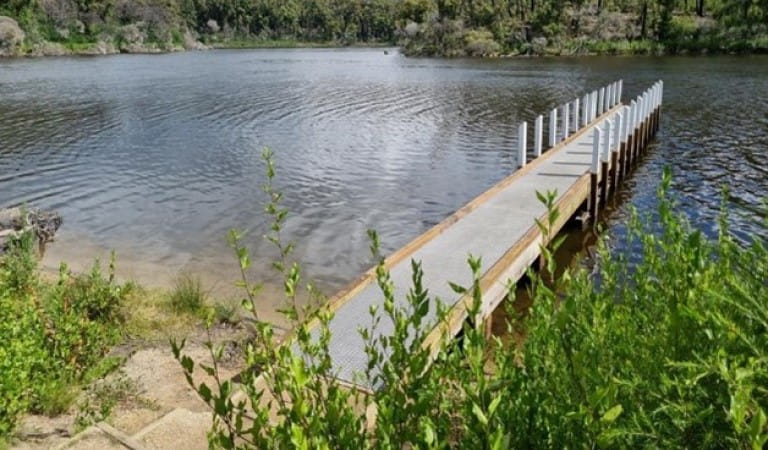 Jetty over water with surrounding bushland
