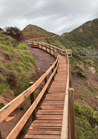 A wooden boardwalk stretching across a hilly landscape. 