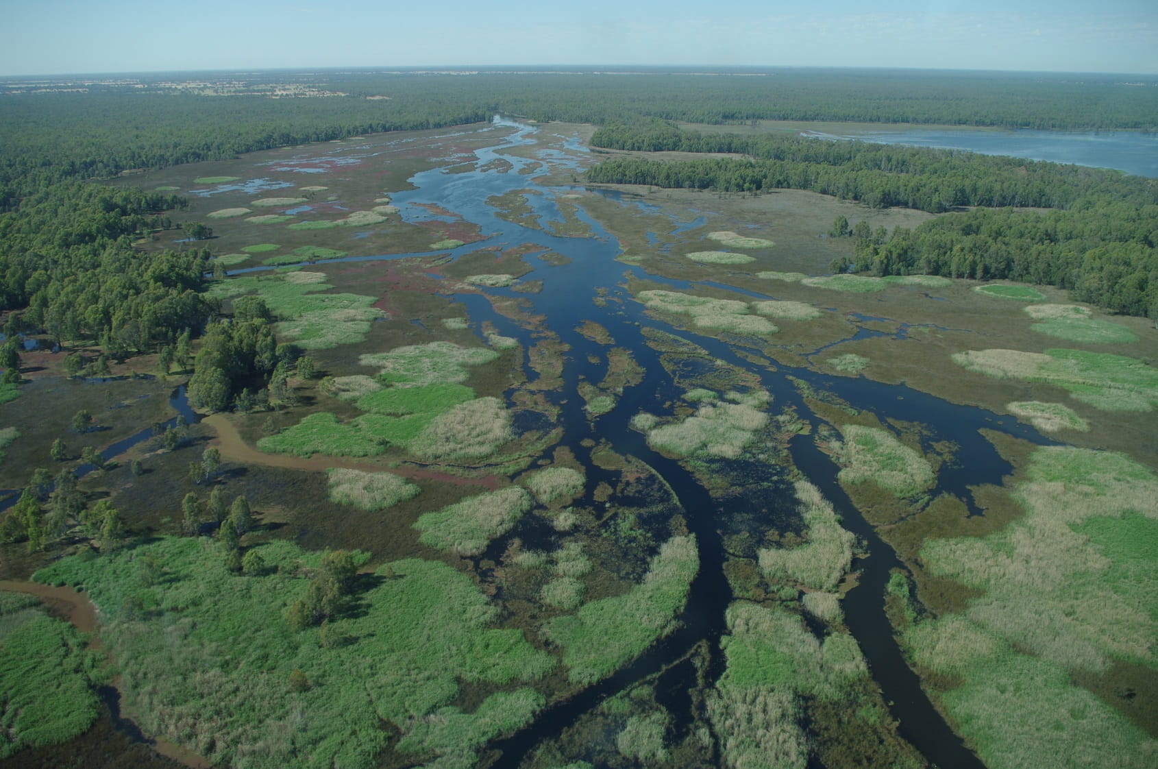 Murray River at Barmah Choke