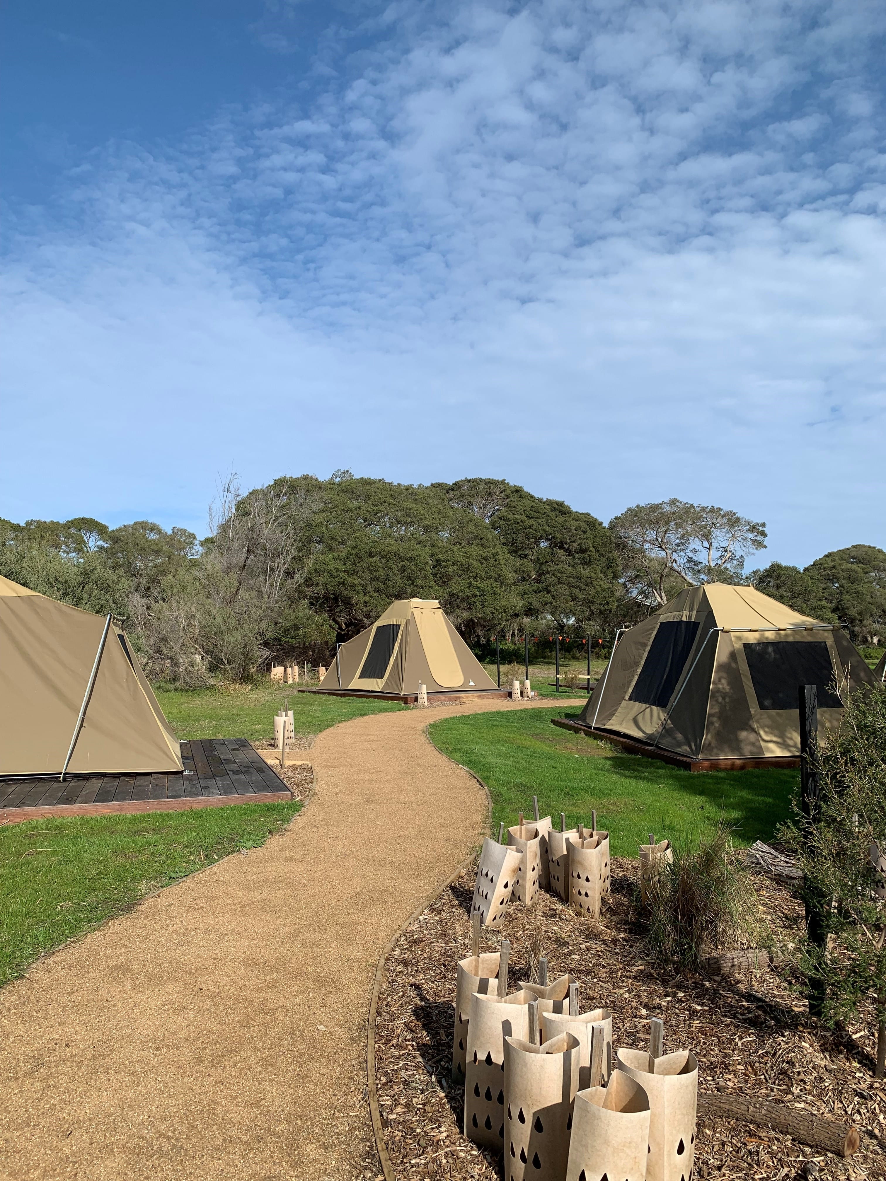 A winding gravel path leads to a cluster of beige canvas tents, which are sitting under the shade of trees with low, twisting branches. 