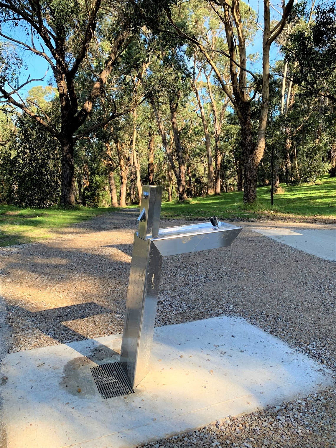 A stainless steel drinking fountain sits on top of a newly poured concrete slab. It is surrounded by gravel, and in the background are tall gum trees and grass.