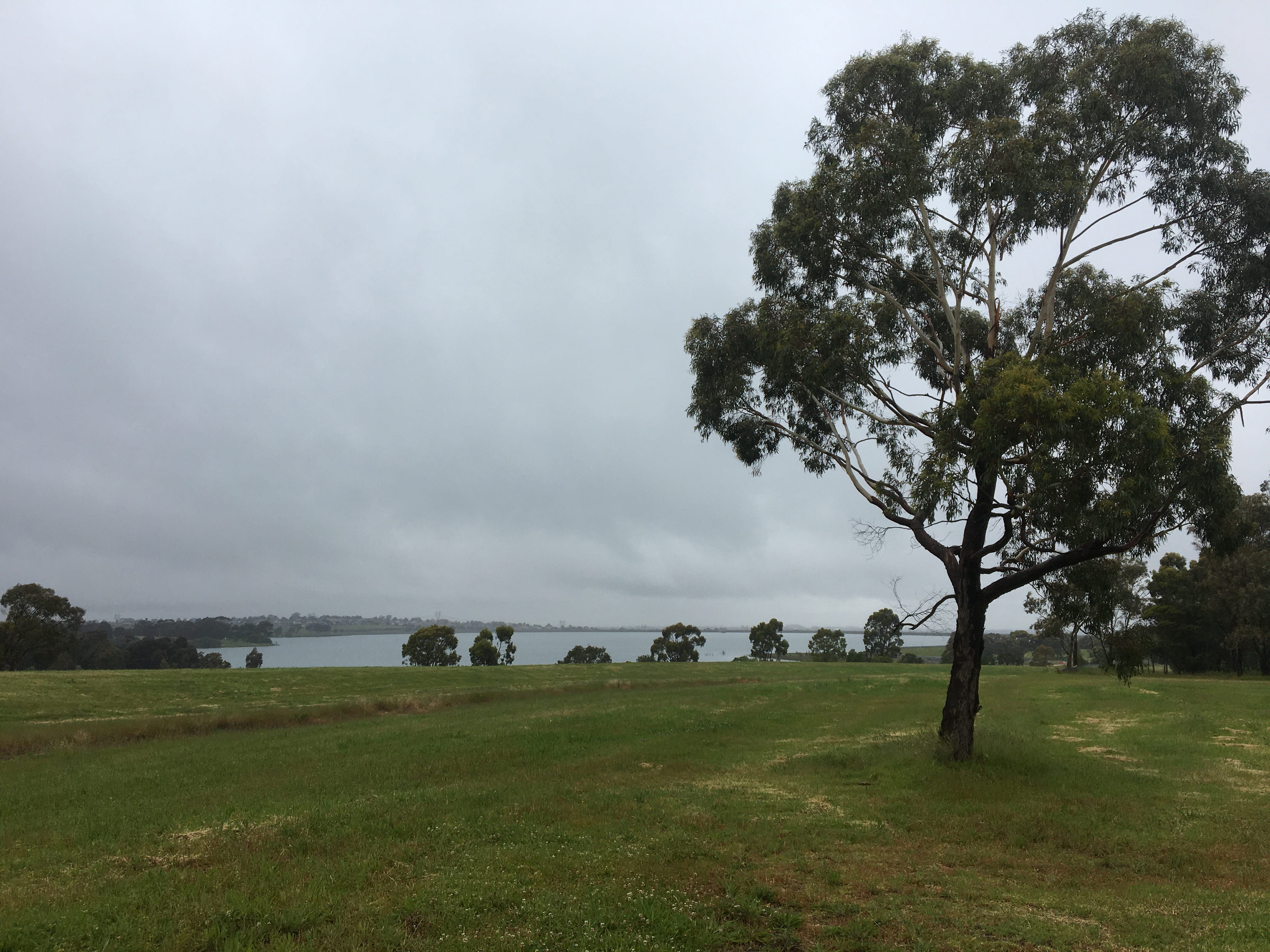 View of Greenvale Reservoir Park from northern section of park. 