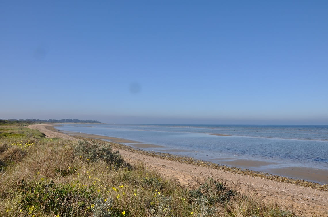 The beach at Point Cook Coastal Park. It's a sunny day, the sky is blue, and the water is calm. Coastal grasses are in the foreground. 