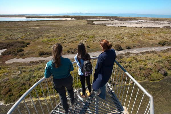 Three people at Point Cook Tower enjoying the view of Cheetham Wetlands.