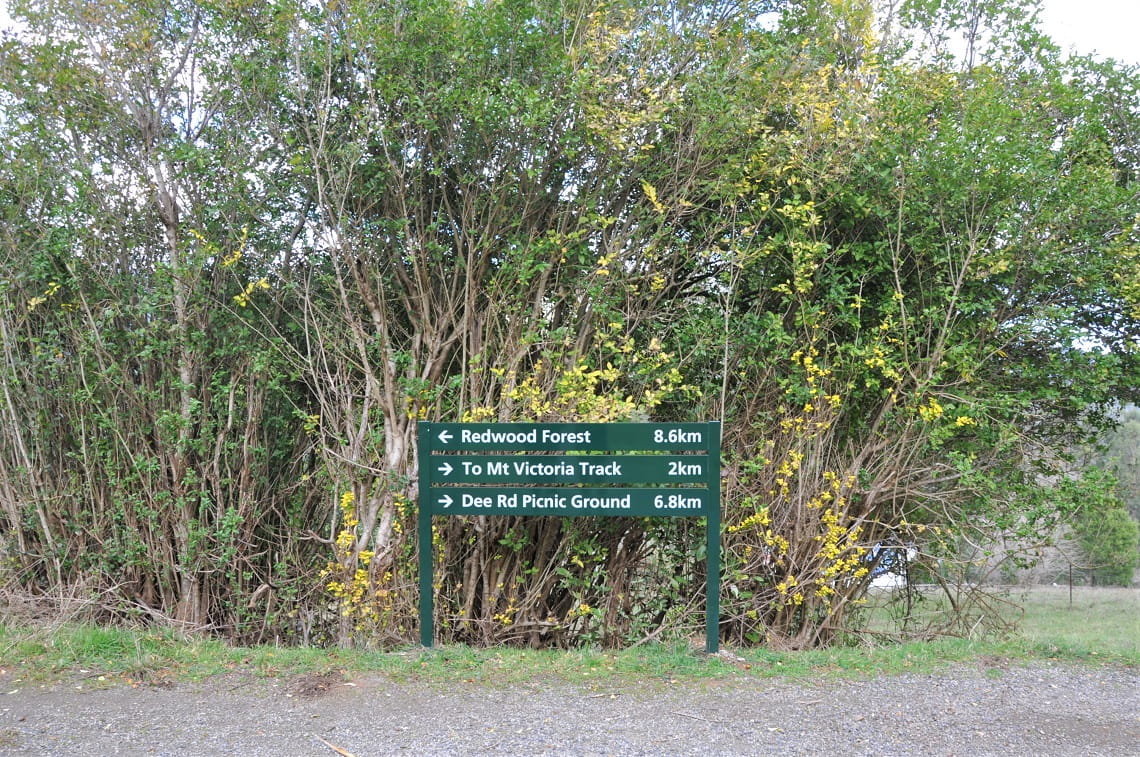 Wayfinding signage at Yuonga Road Car Park. 