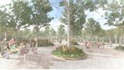 Artist impression of the proposed design of the Wattle Park picnic area