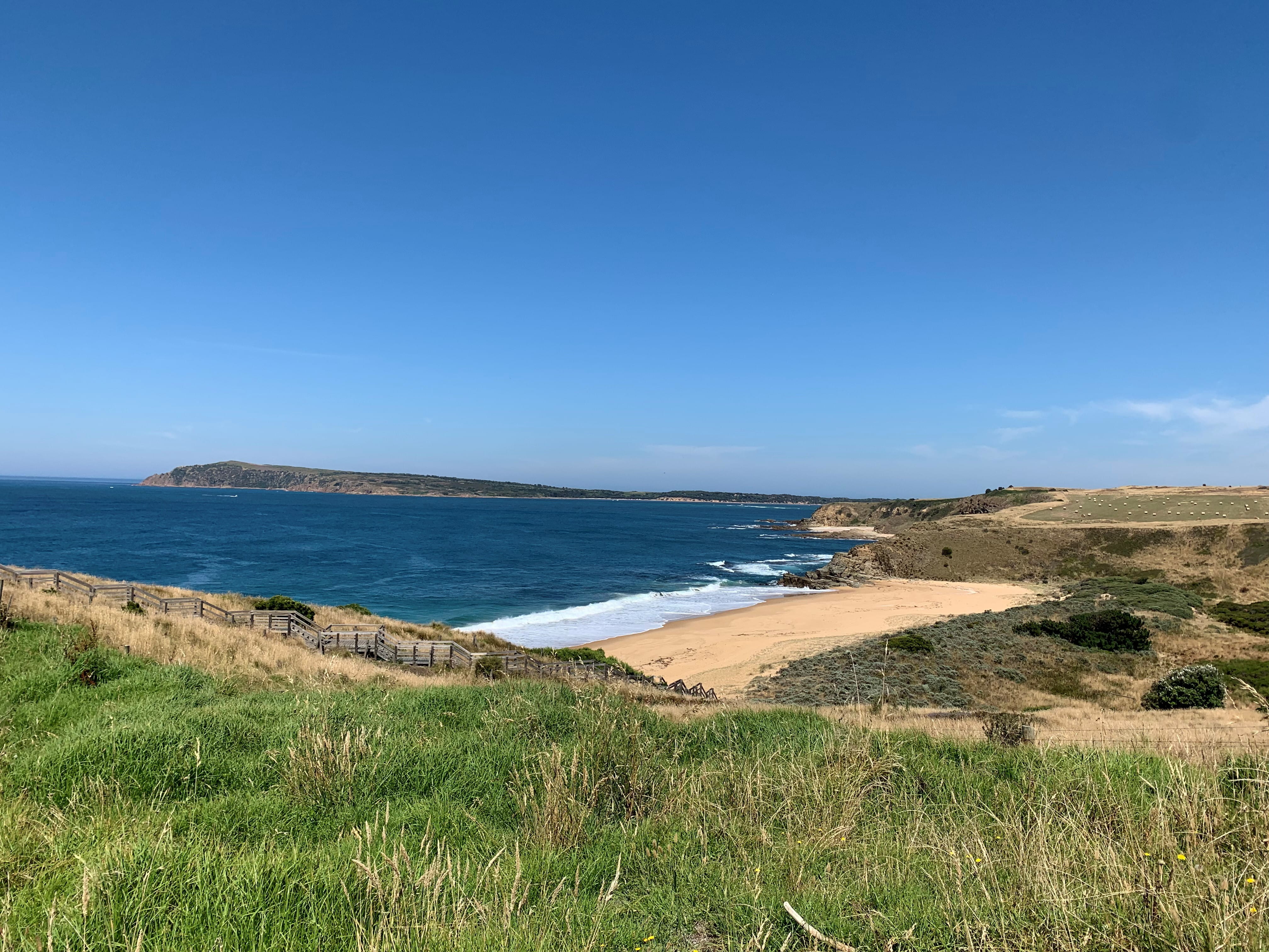 Coastal views with walking track in foreground