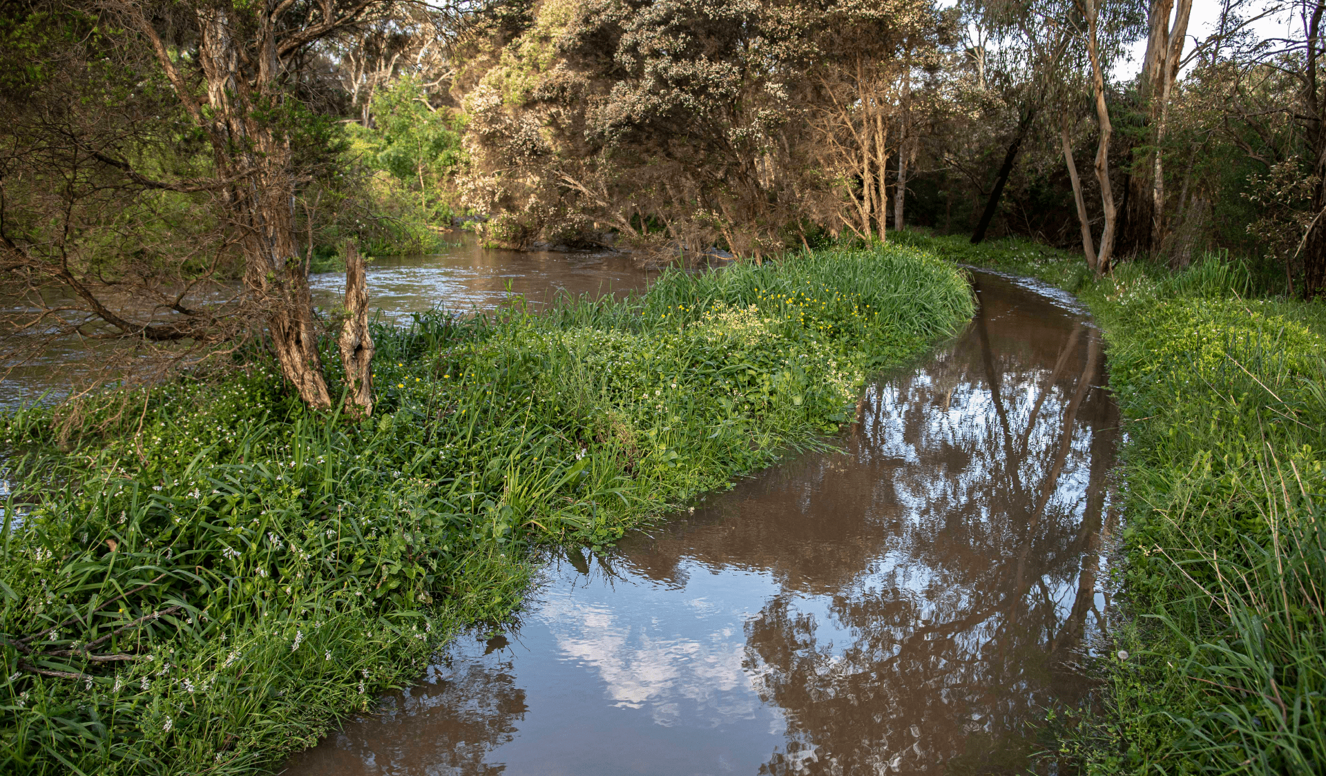 Flooding of the walking track in Jells Park