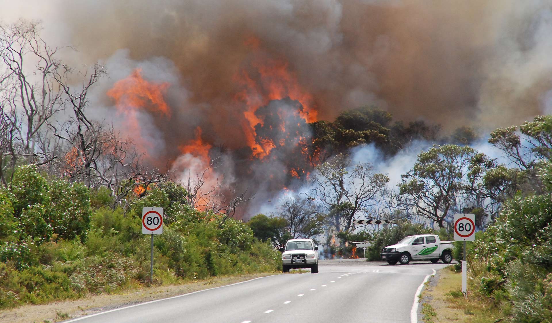 Road signs and two vehicles on the road in the foreground, while flames and smoke are visible behind the trees in the background