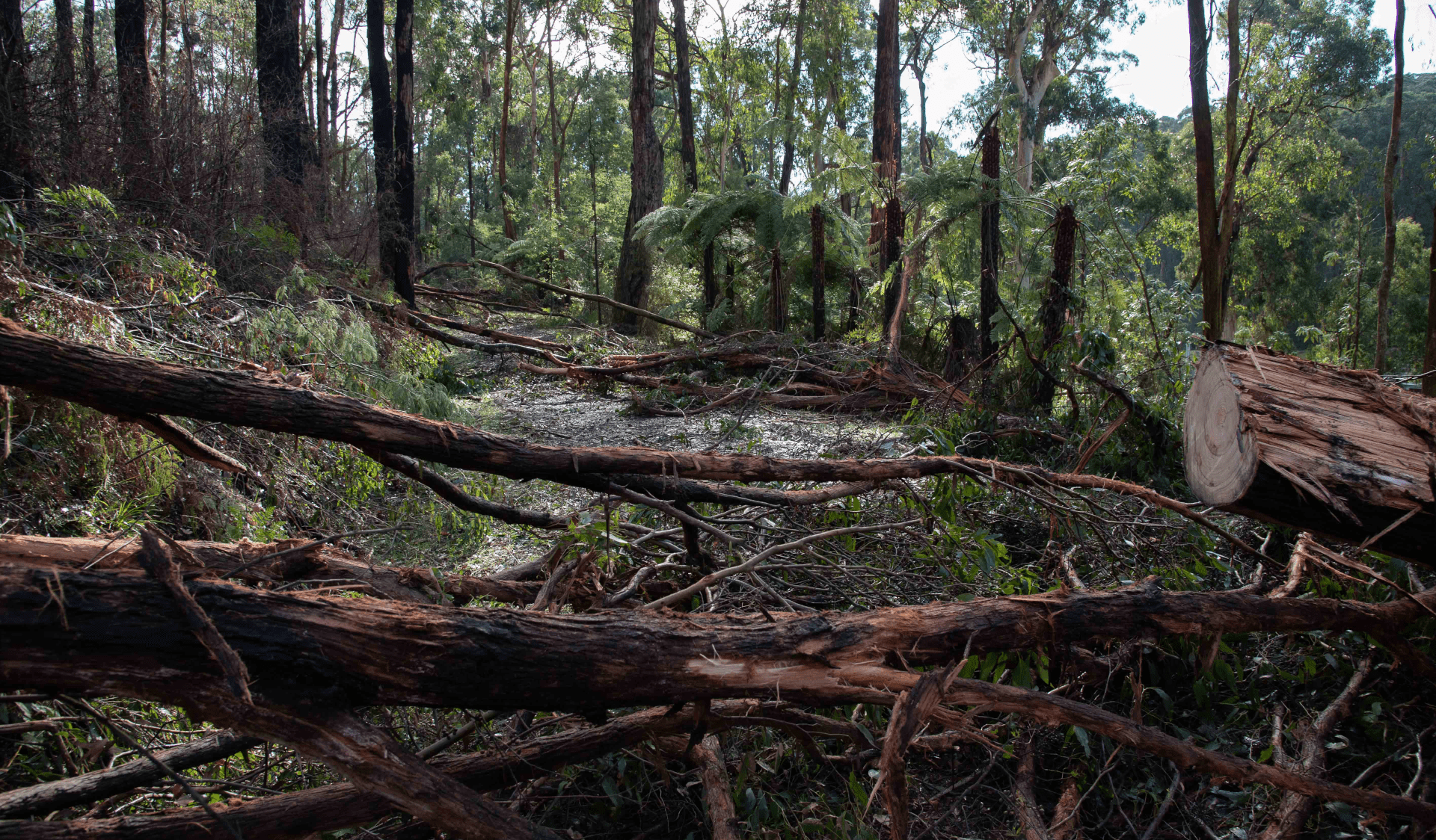 www.parks.vic.gov.au