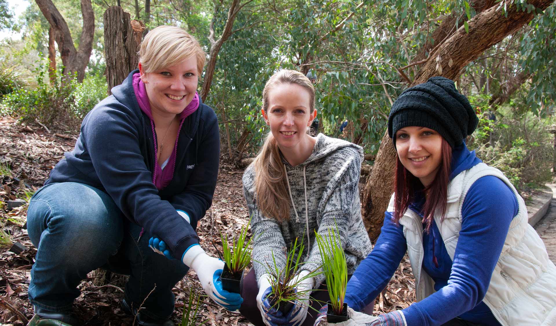 Three women in casual clothing holding seedlings