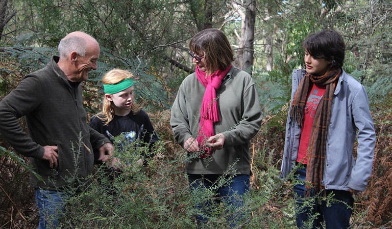 Three adults and a child standing, surrounded by bush.