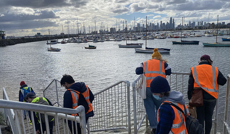 People in hi-vis vests walking down stairs and looking out over the water, with boats and cityscape in the background.