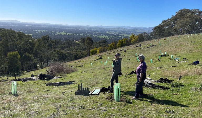 Two women paused in their tree planting work on a grassy hill.