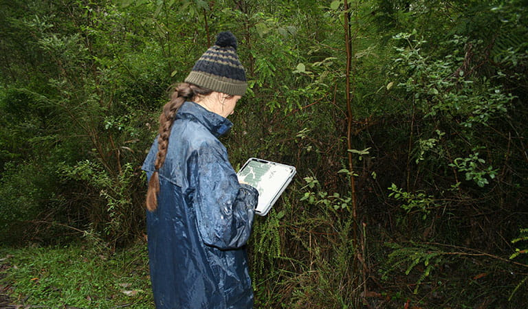 A woman in a rain jacket with plaited hair and a beanie looking down at a portable tablet device in front of trees and shrubs.