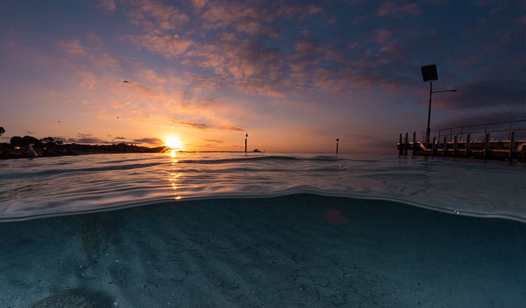 A split view above and below the water at sunset.