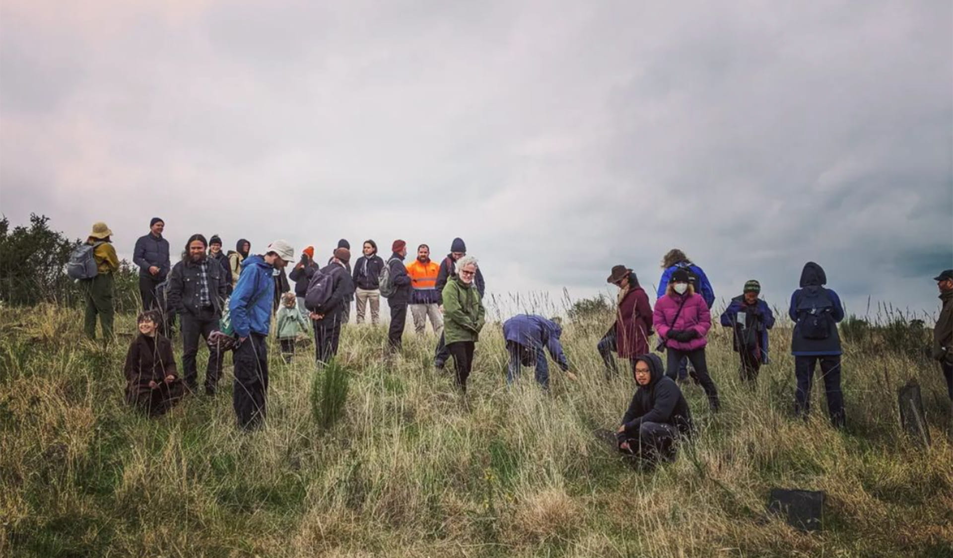 A group of volunteers gather on a grassy hill. 