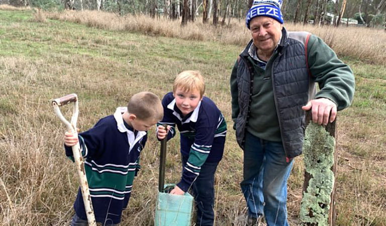 Two children and a man planting trees using shovels.