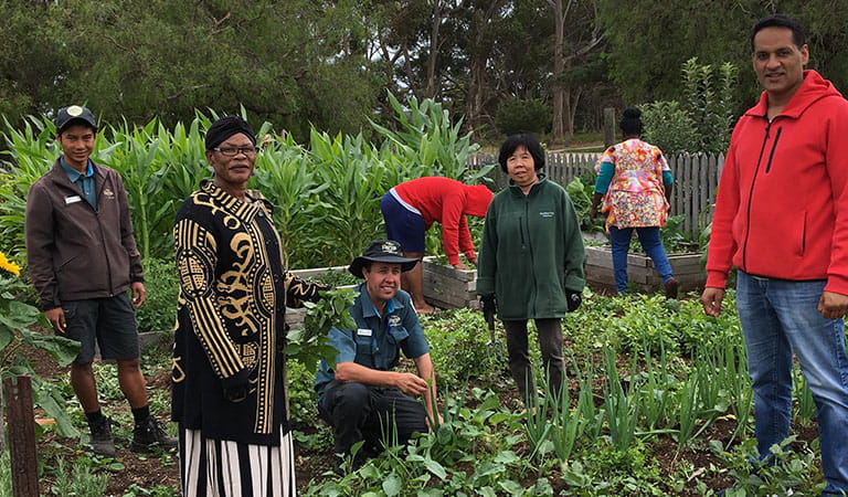 Community members and rangers gathered and working in a garden.