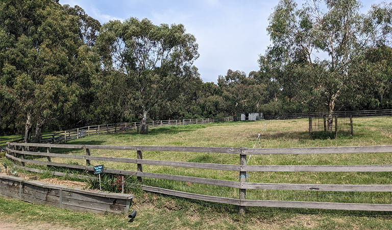 A fenced area of grass and trees.