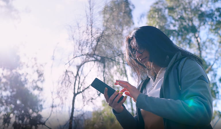 Woman looking down at a phone against a background of trees and sunlight.