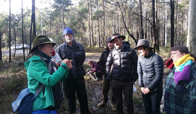 A group of people standing in a forest, listening to a presenter.