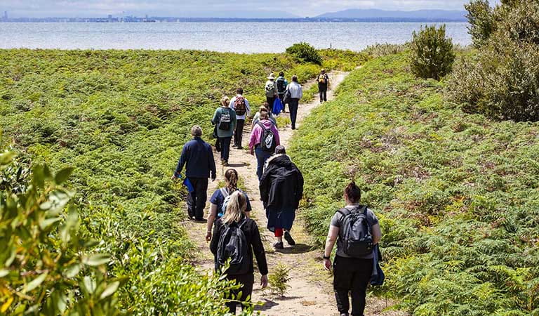 A group of people wearing backpacks walking along a path through vegetation towards water in the background.