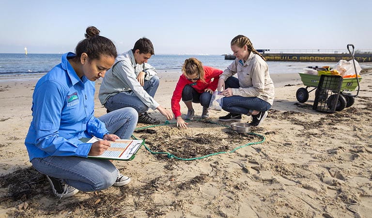 Two women and a man crouched on the sand surveying and collecting samples, with a trolley of supplies in the background, and a woman taking notes on a clipboard in the foreground.