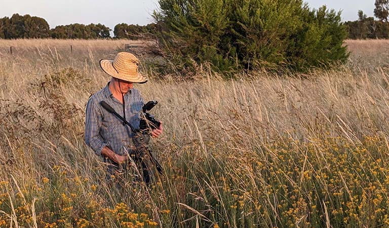 A man in a straw hat standing in the long grass and looking down at the video equipment he is holding.