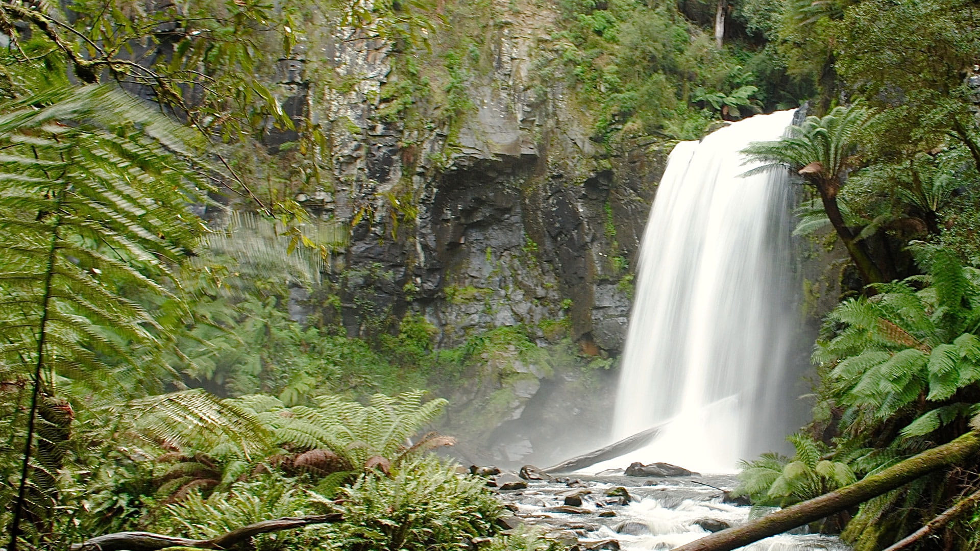 Hopetoun Falls, Great Otway National Park