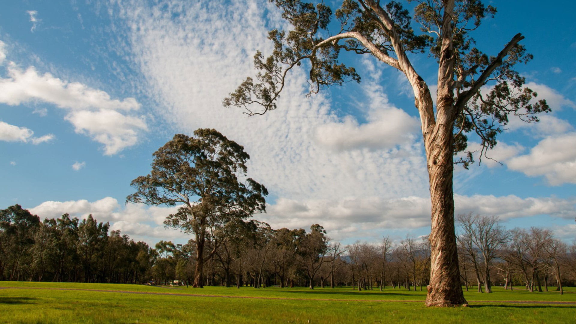 Jells Park