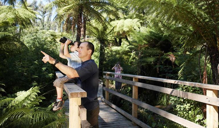 Father and son bird watching on boardwalk