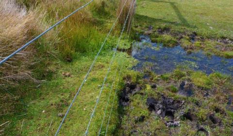 Alpine National Park exclusion plot showing feral horse damage outside of fence