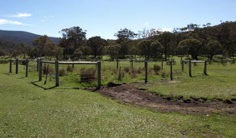 Exclusion plot in Alpine National Park showing intact native vegetation inside fence and feral horse impacts outside fence