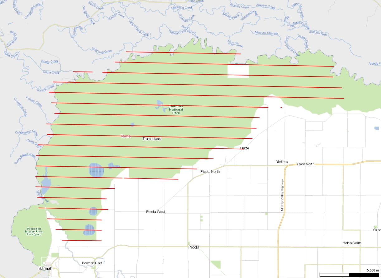 Barmah Transect Map 2021 Survey