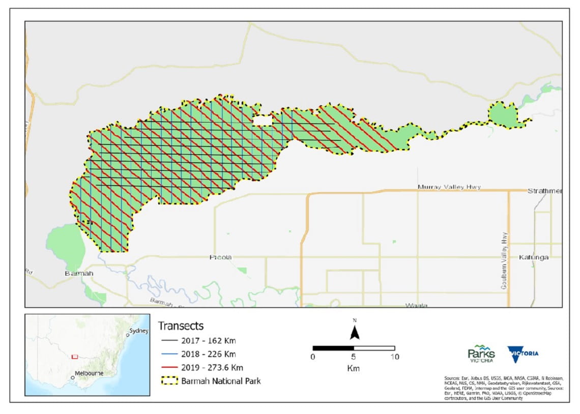 Map showing the actual flight transects of the surveys