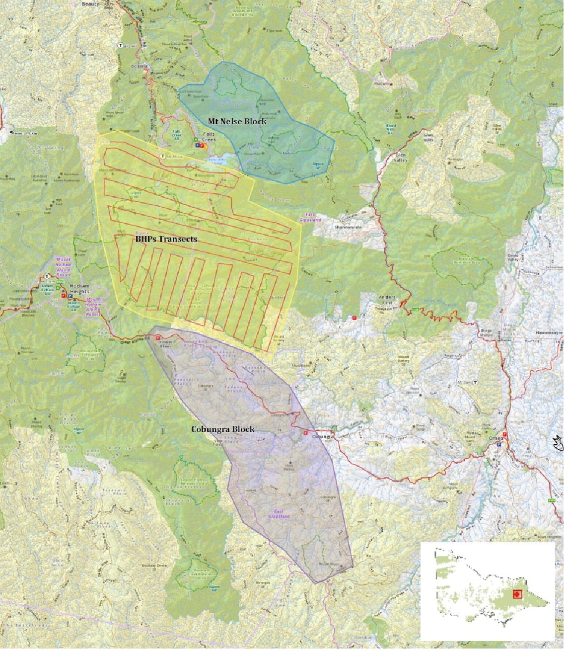 Map showing the search areas (Mt Nelse and Cobungra blocks) and the planned flight transects (red lines in yellow BHP transect block).