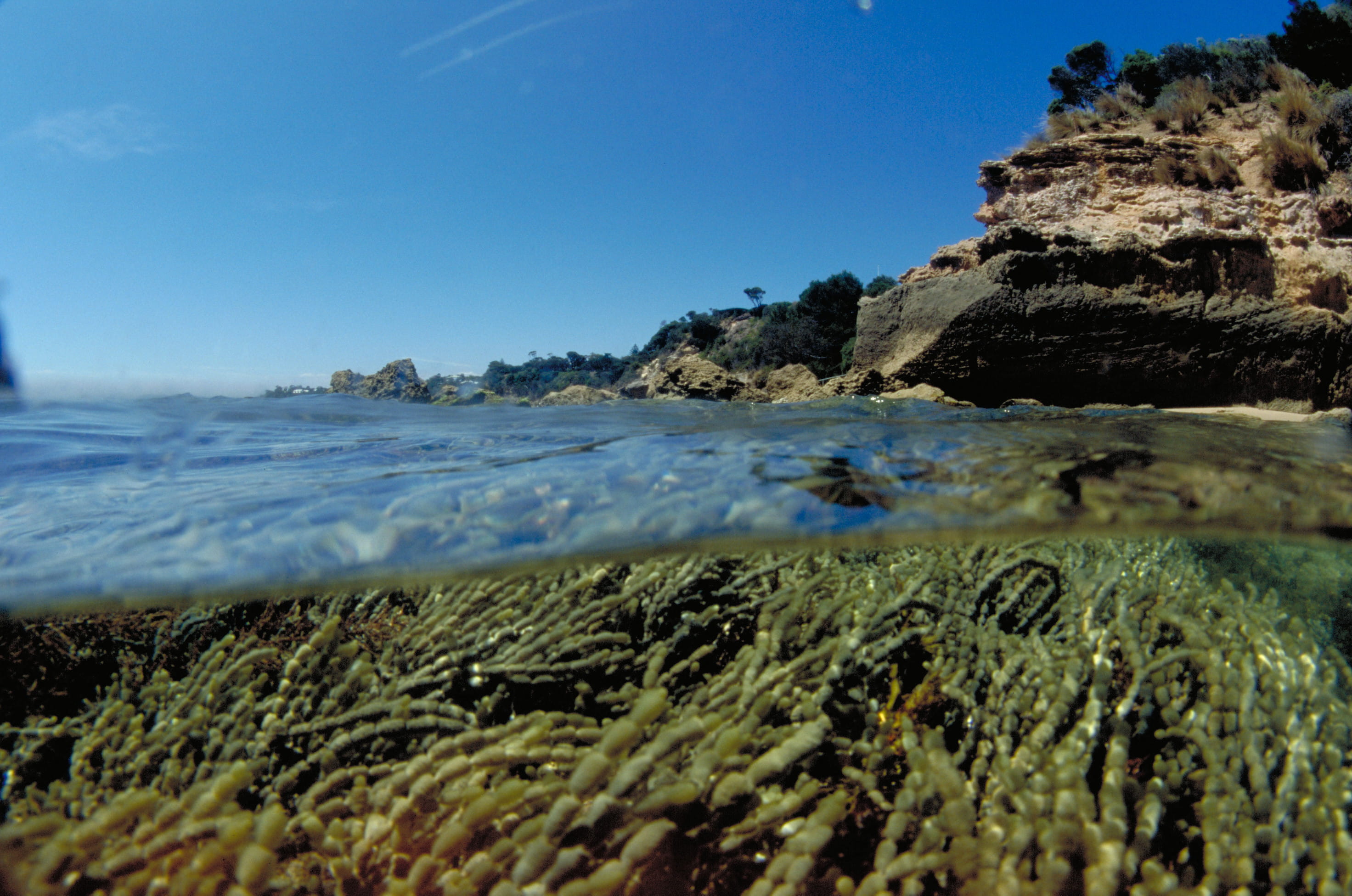Port Phillip Bay