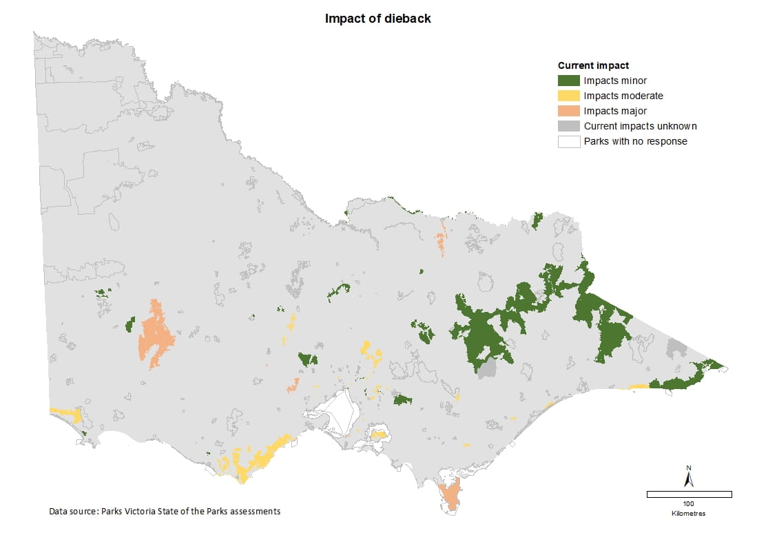 impact of dieback